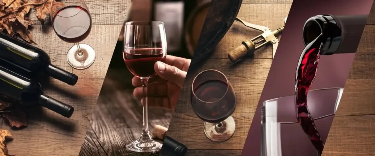 Adega Climatizada Vinhos